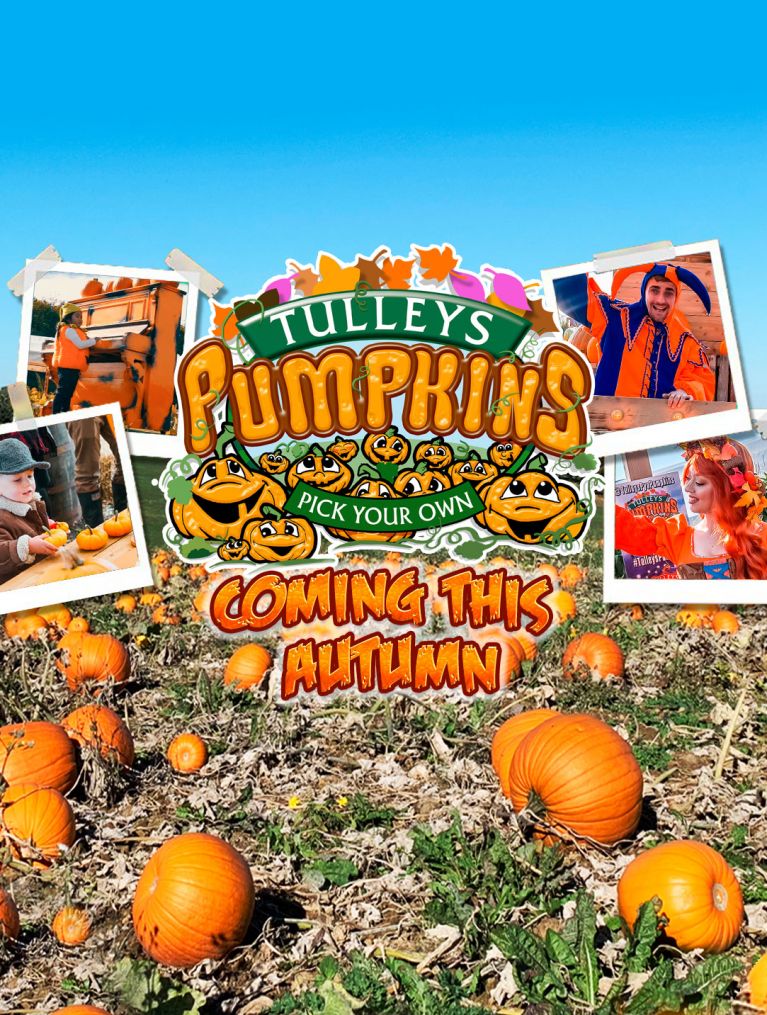 Tulleys Farm Unique Seasonal Events & Festivals Sussex