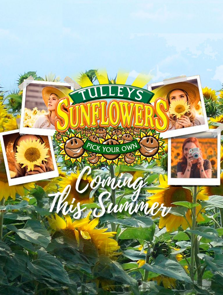 Tulleys Farm Unique Seasonal Events & Festivals Sussex