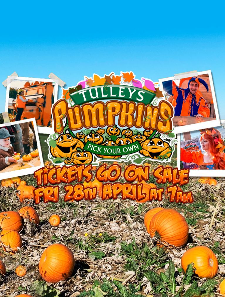 Tulleys Farm Unique Seasonal Events & Festivals Sussex